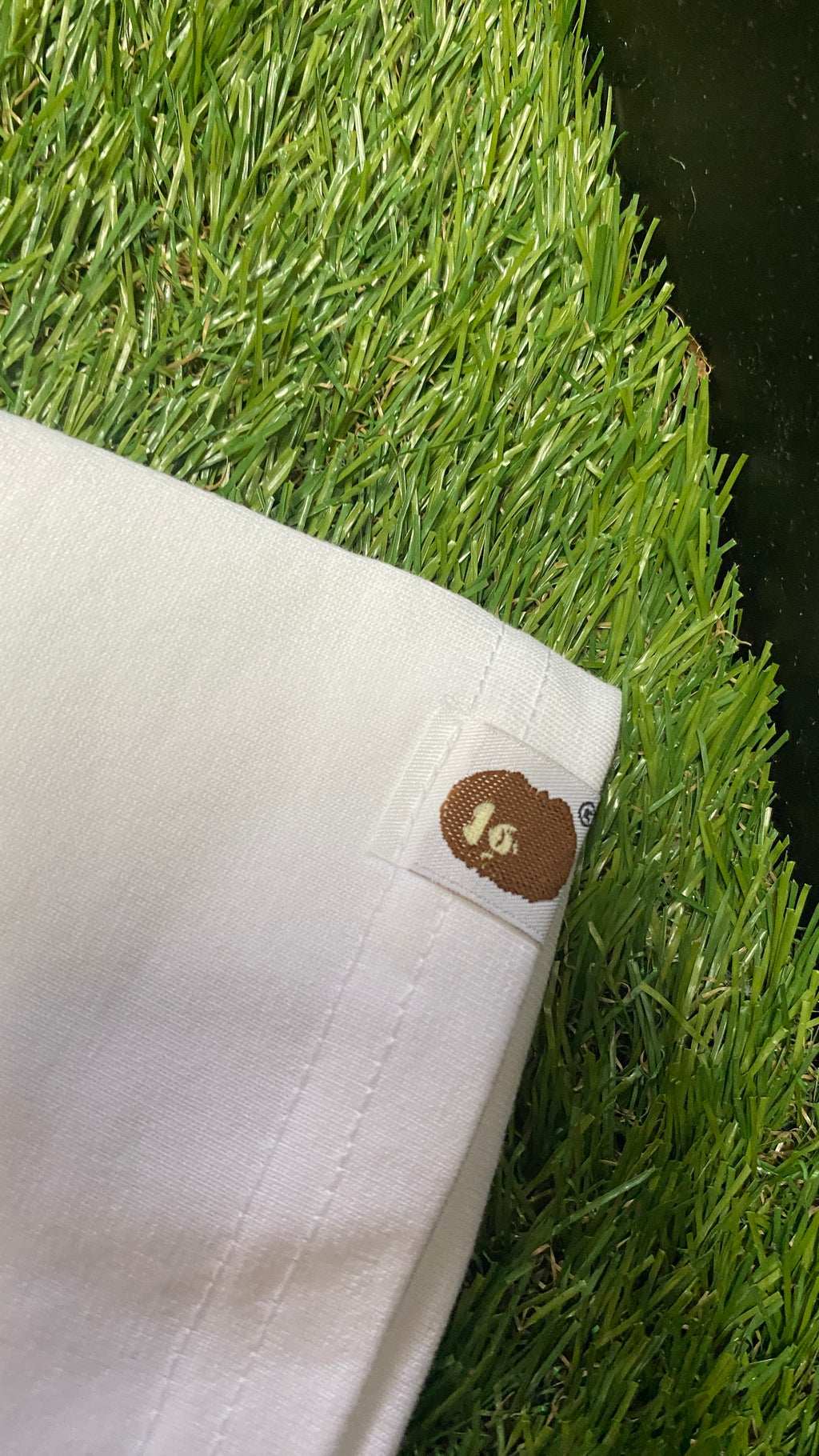APE Camo Kanji
